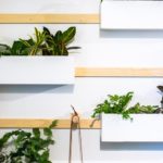 diy plantes