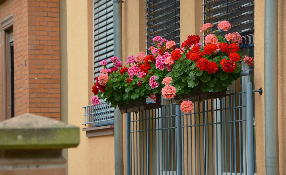 balustrade terrasse