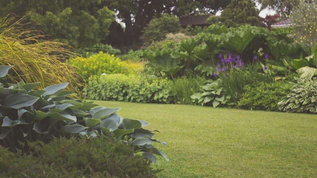 jardin