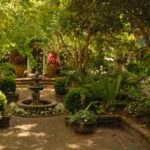 ombrage jardin
