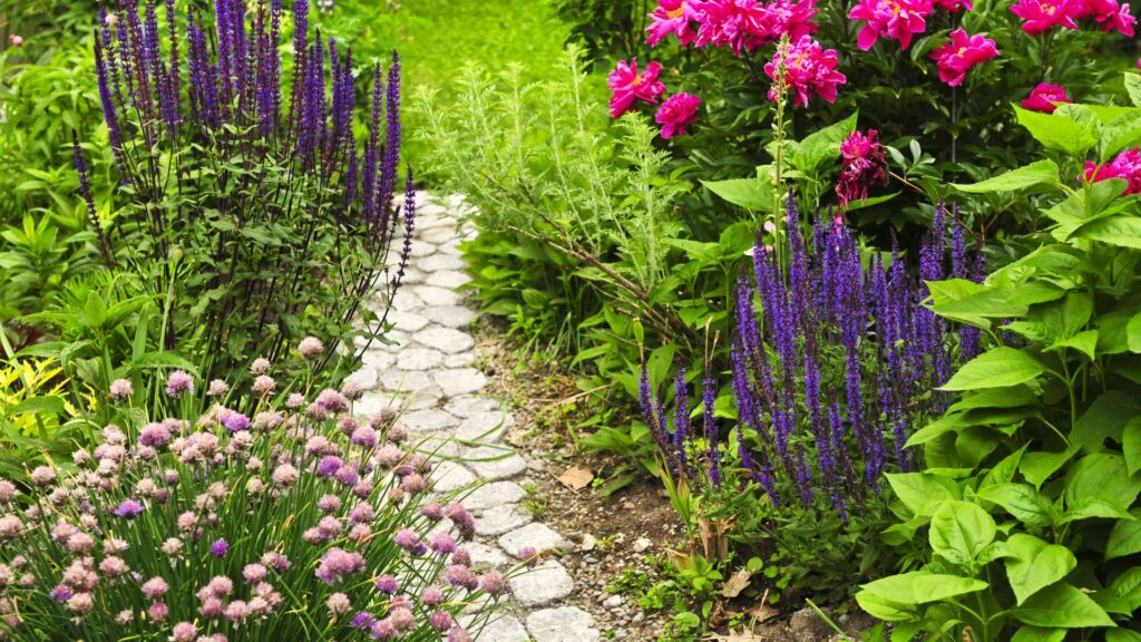 sentier de jardin