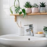 Plantes dans une salle de bain