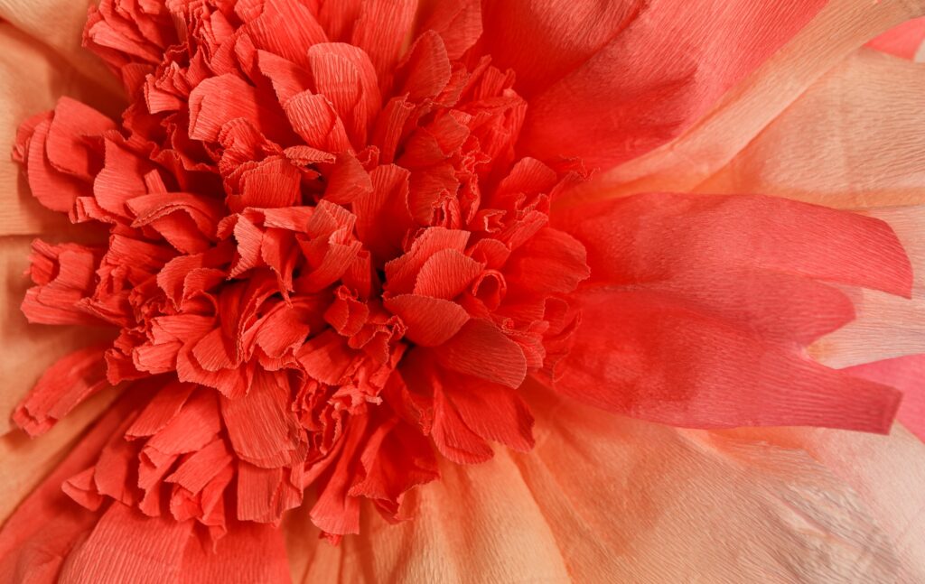 Paper flowers background