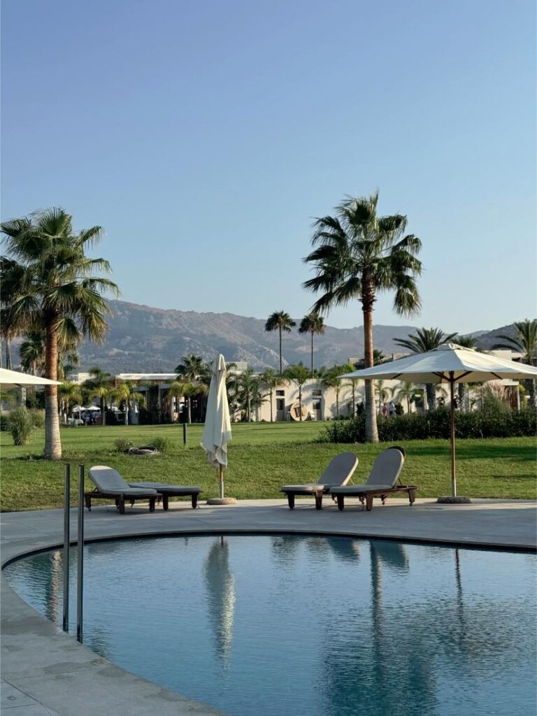gazon artificiel hotel piscine